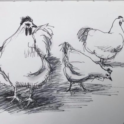 Griselda Mussett - Fat Hens at Wildwood - 